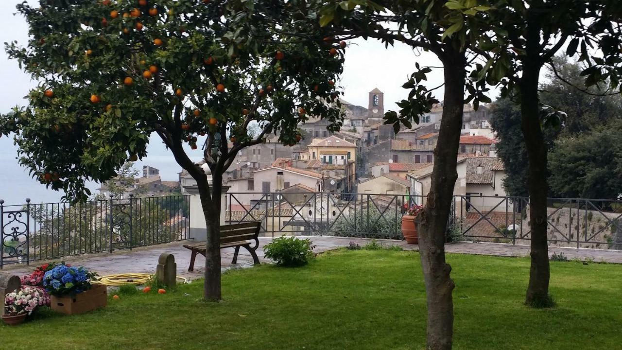 La Villa Di Augusto 安圭拉萨巴齐亚 外观 照片